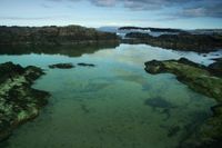 Dunseverick Rock Pool